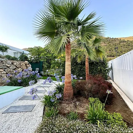 Buena Vista Hills *